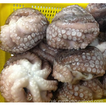 Ціна замороженого свіжого восьминога